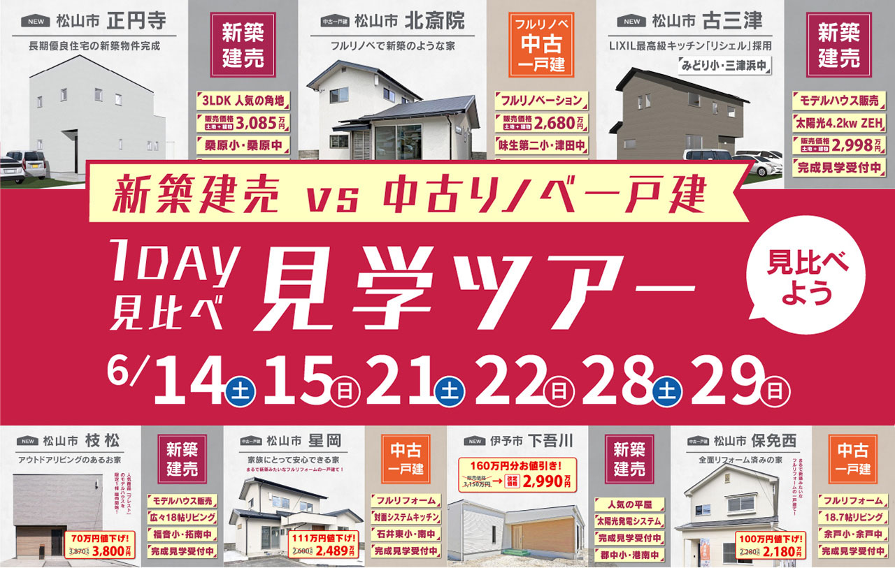 1DAY見学ツアー202506